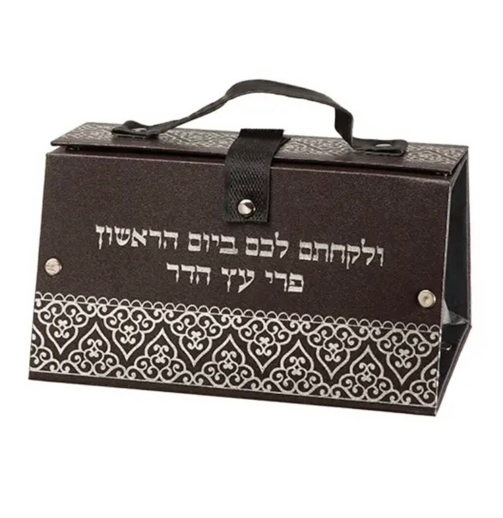 קופסא מהודרת לאתרוג