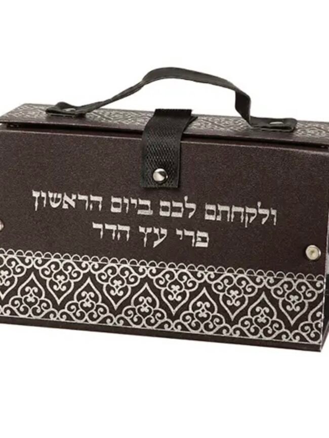 קופסא מהודרת לאתרוג
